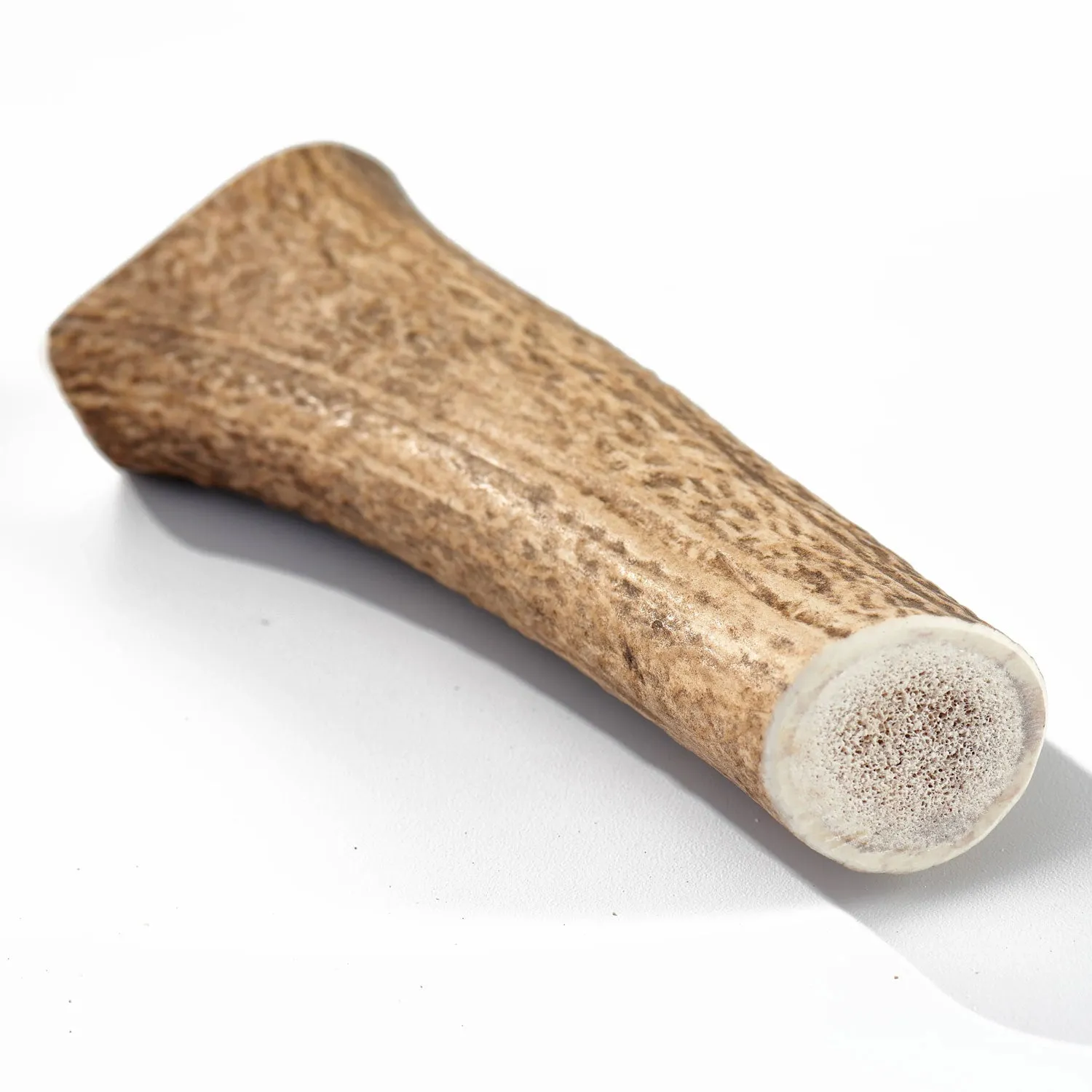 Buck Bone Organics Elk Antler