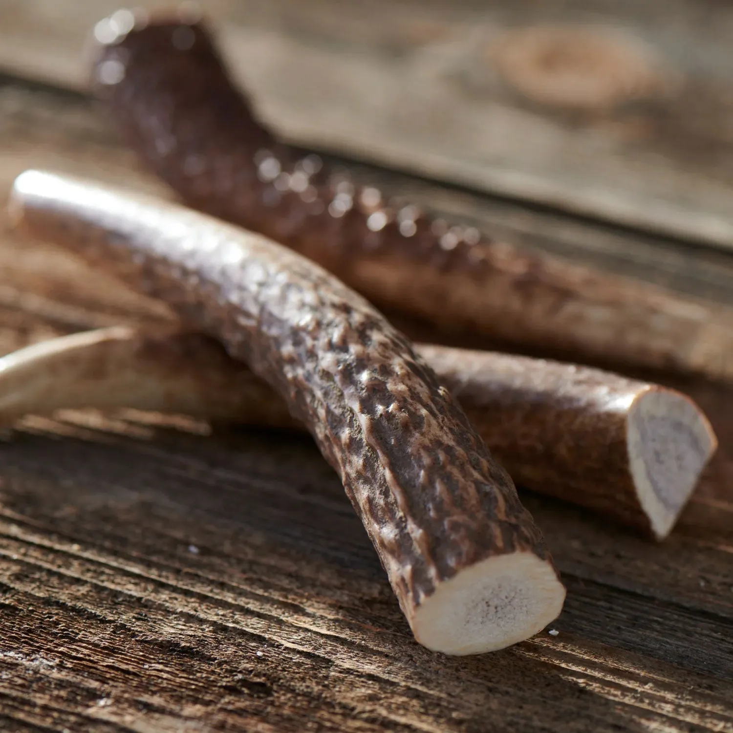 Buck Bone Organics Elk Antler