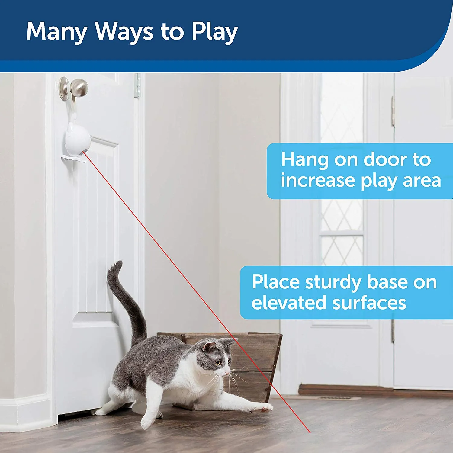 Dancing Dot™ Laser Cat Toy