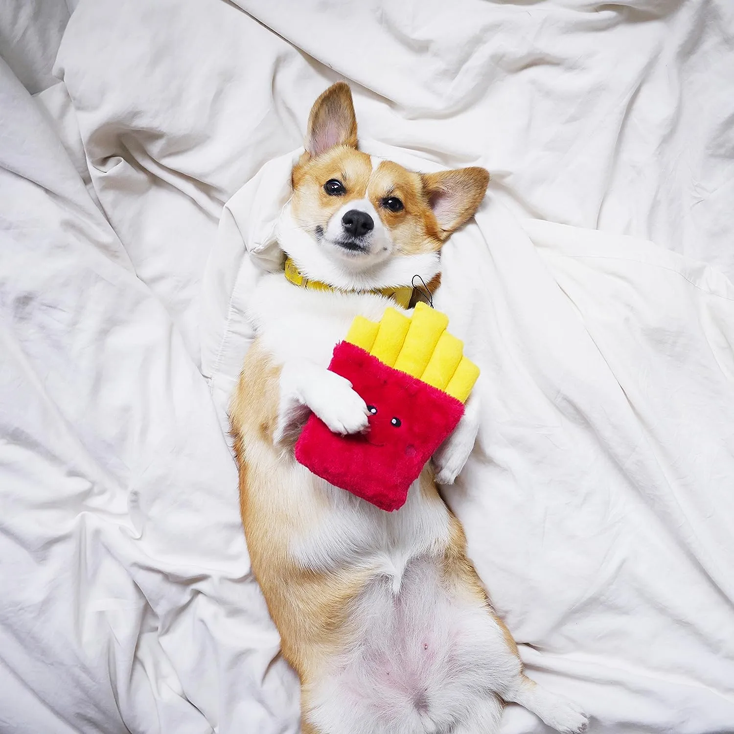 Fries with squeakers -  Dog Toy