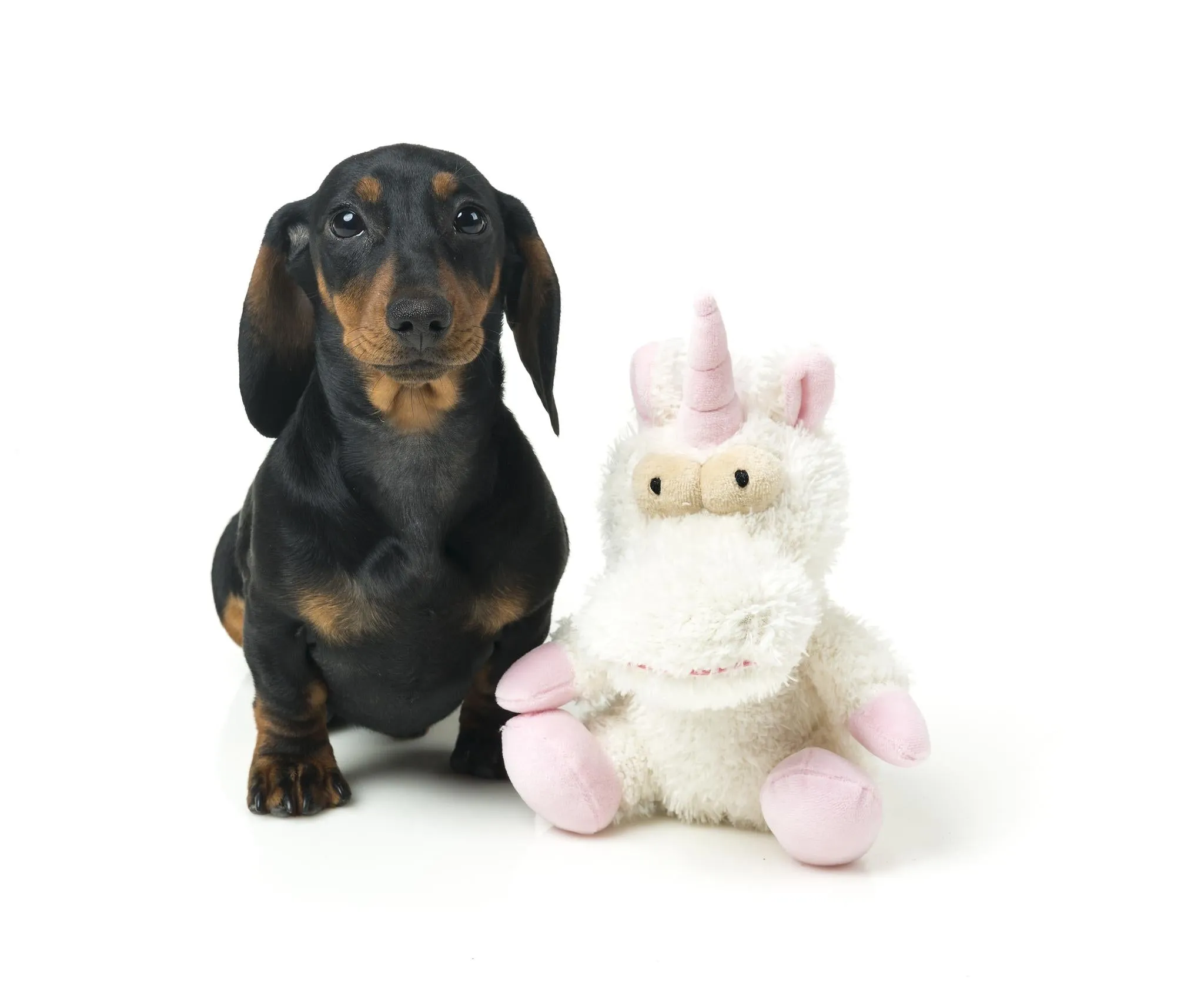 FuzzYard Electra The Unicorn Dog Toy Large