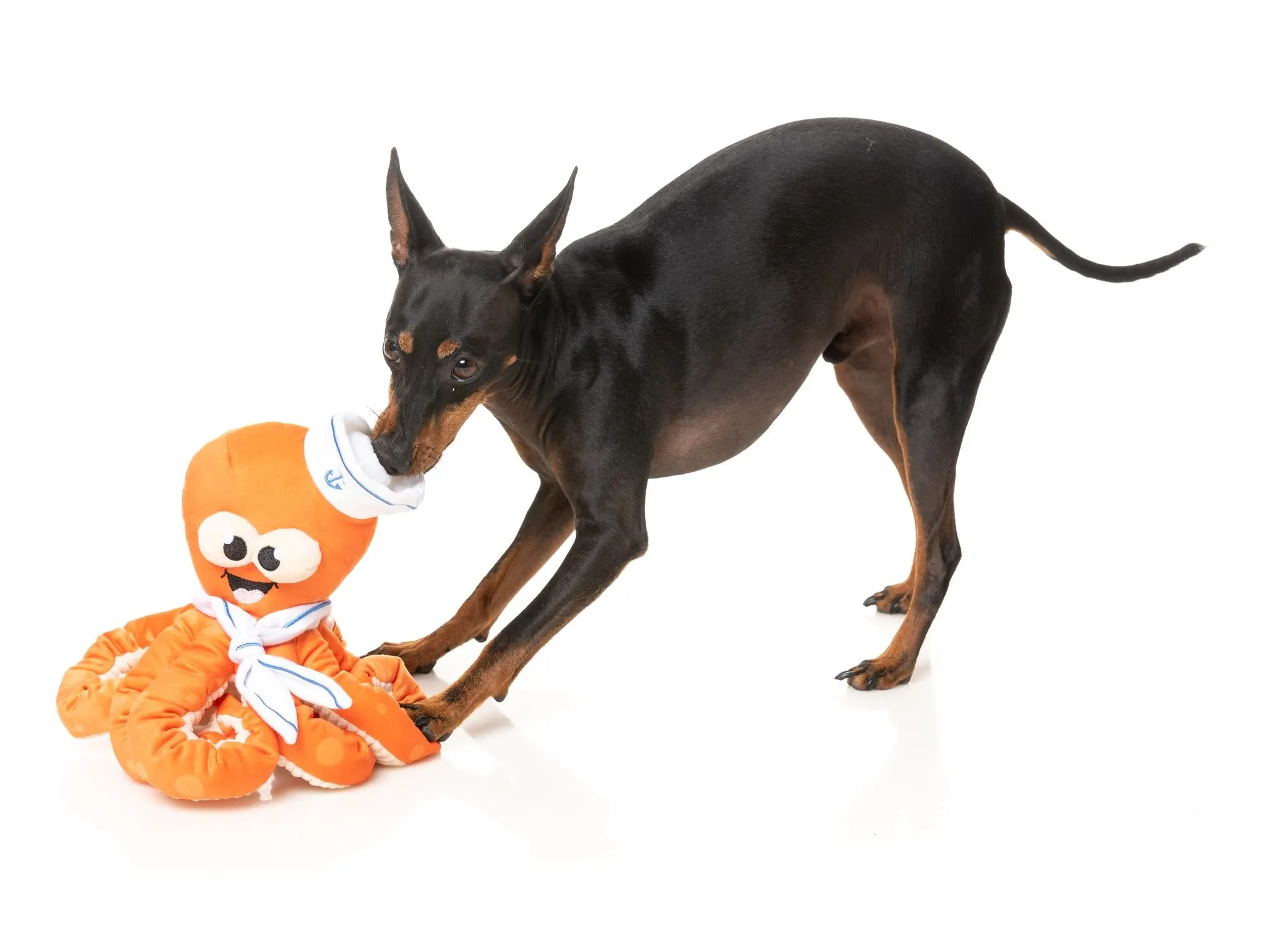 FuzzYard Octoposse Sailor Squiggles Dog Toy