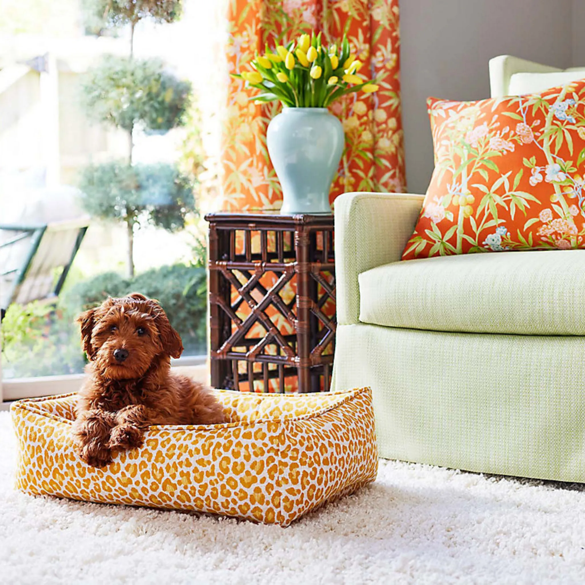 Limetsone Backyard Bengal Print Small Dog Bed