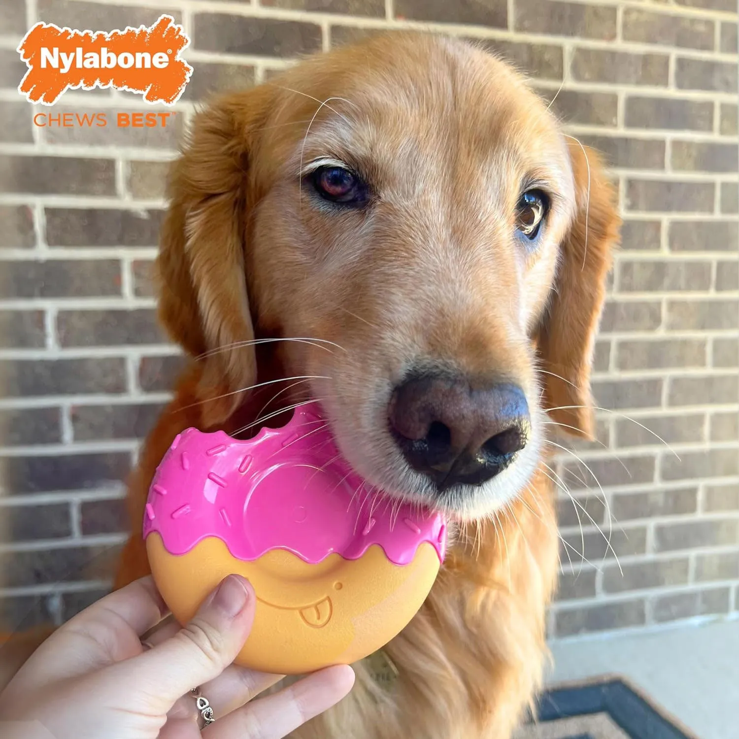 Nylabone Power Chew Donut Dog Toy