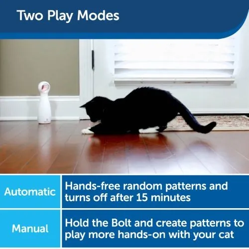 PetSafe® Bolt Laser Light Cat Toy