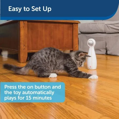 PetSafe® Bolt Laser Light Cat Toy