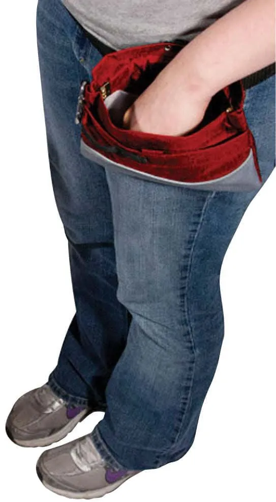 PetSafe Treat Pouch, Sport