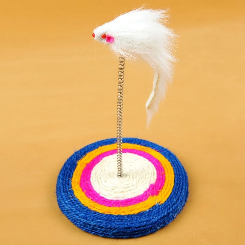 Playing Pet Spring Mouse