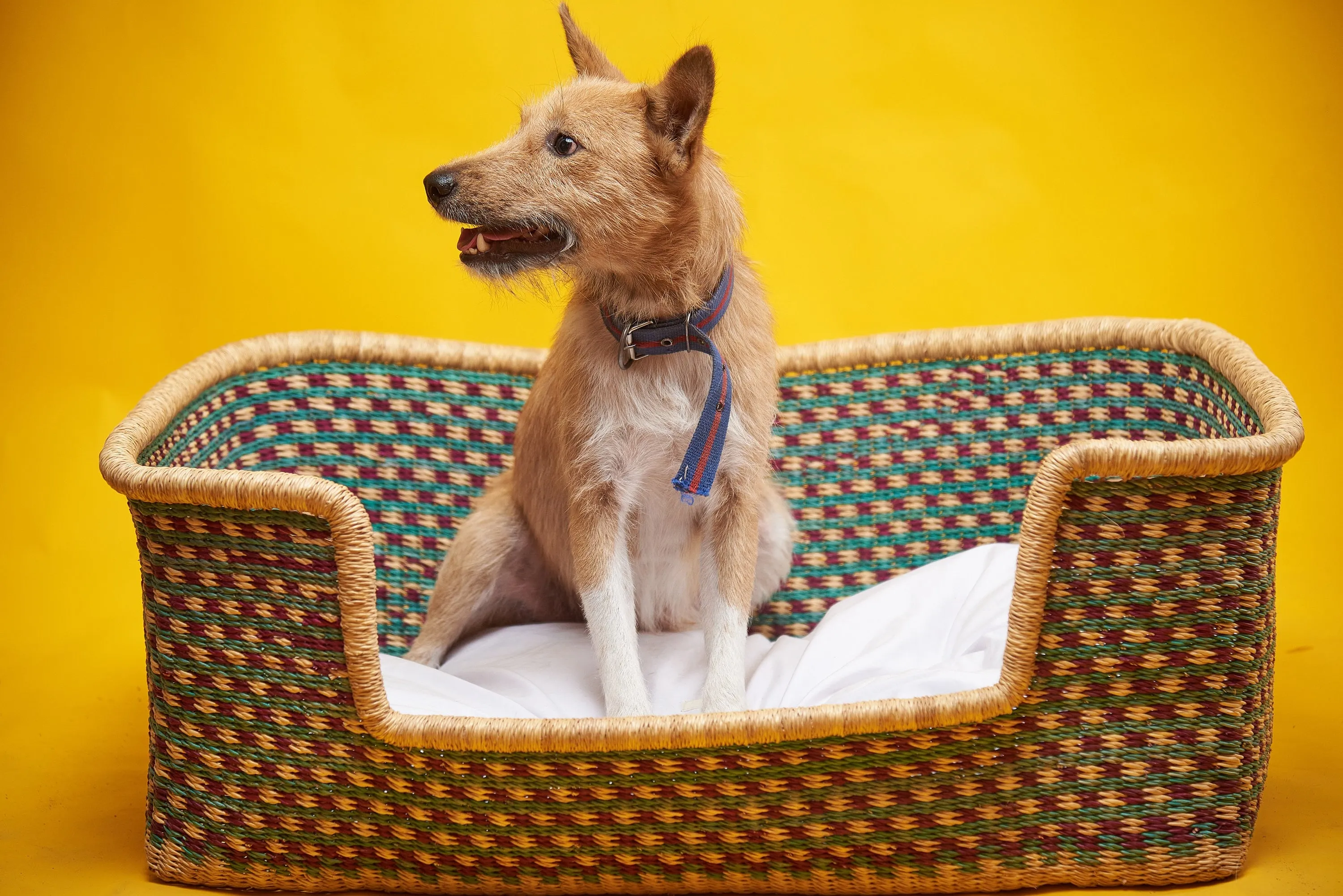 Rectangle Handwoven Dog Basket