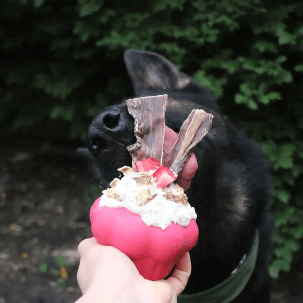 SodaPup Cupcake Treat Dispenser Chew Toy