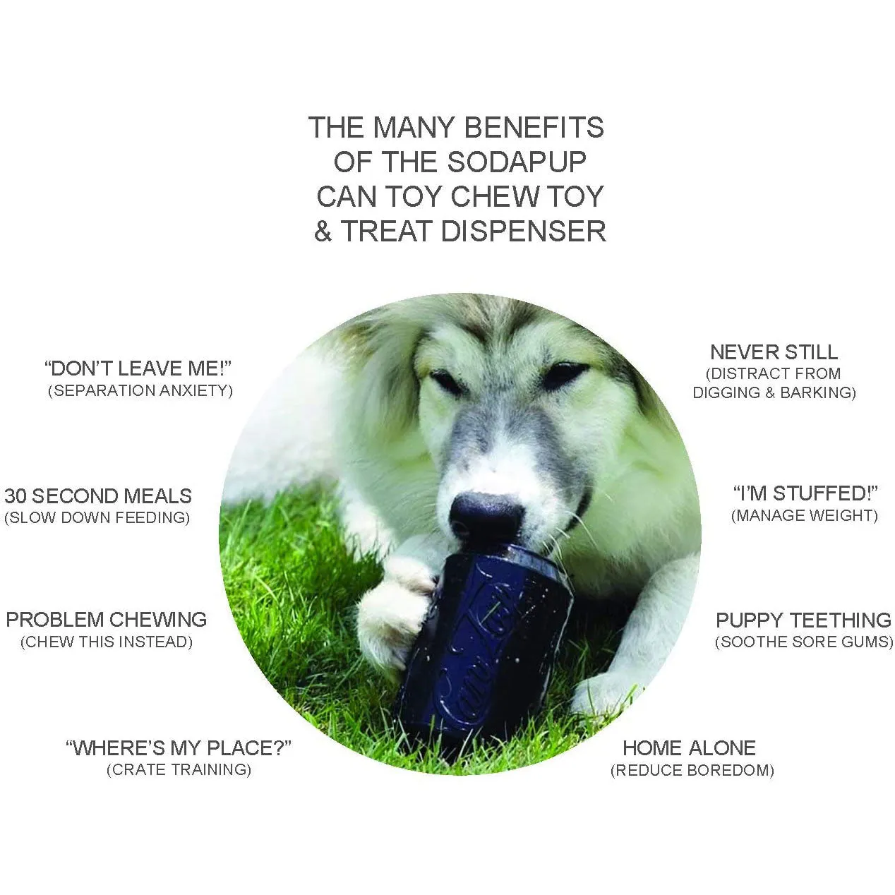 SodaPup Magnum Can