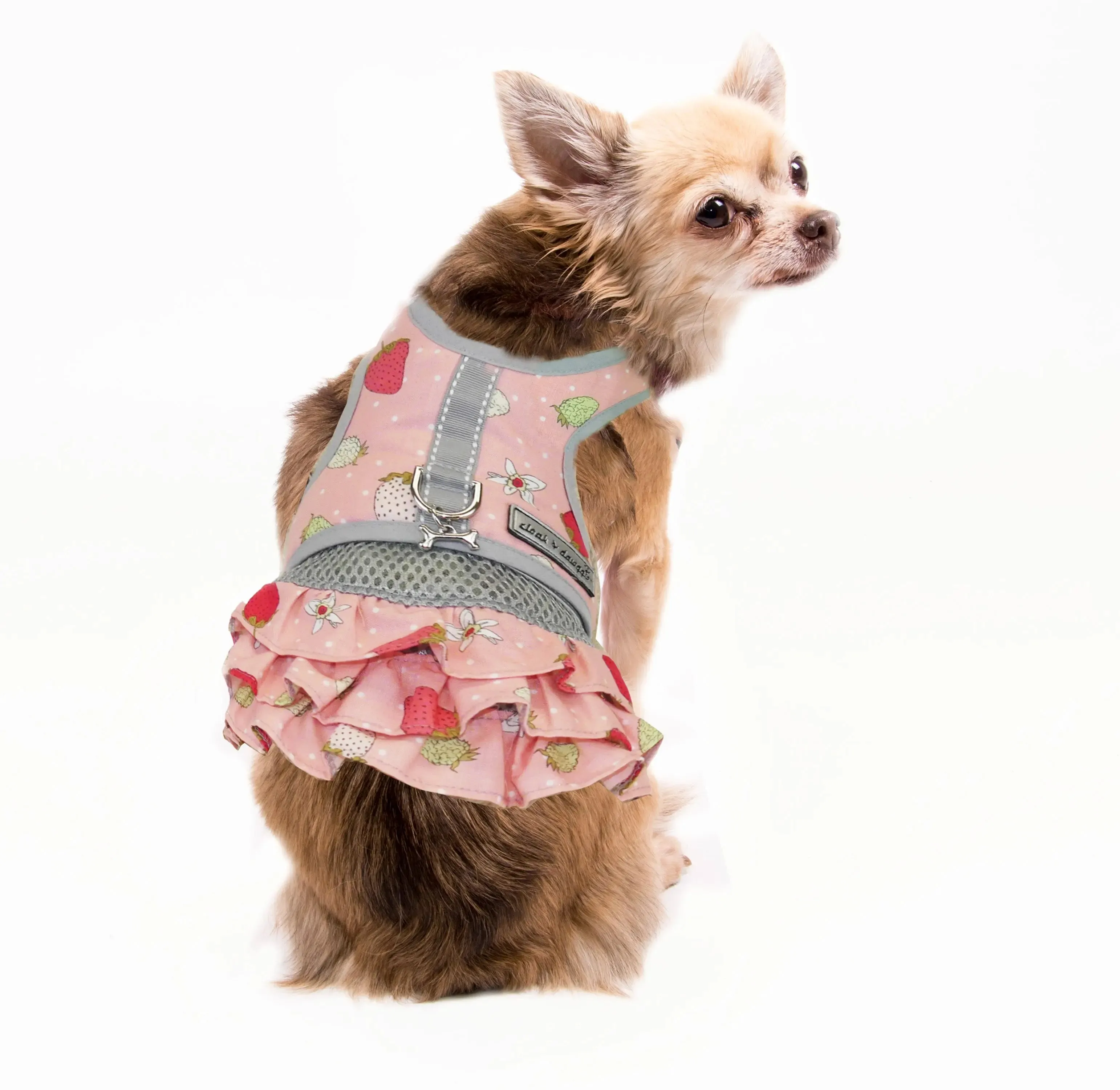 Strawberry Print Teacup Dog Harness Vest Up 2 LBS to 8 LBS