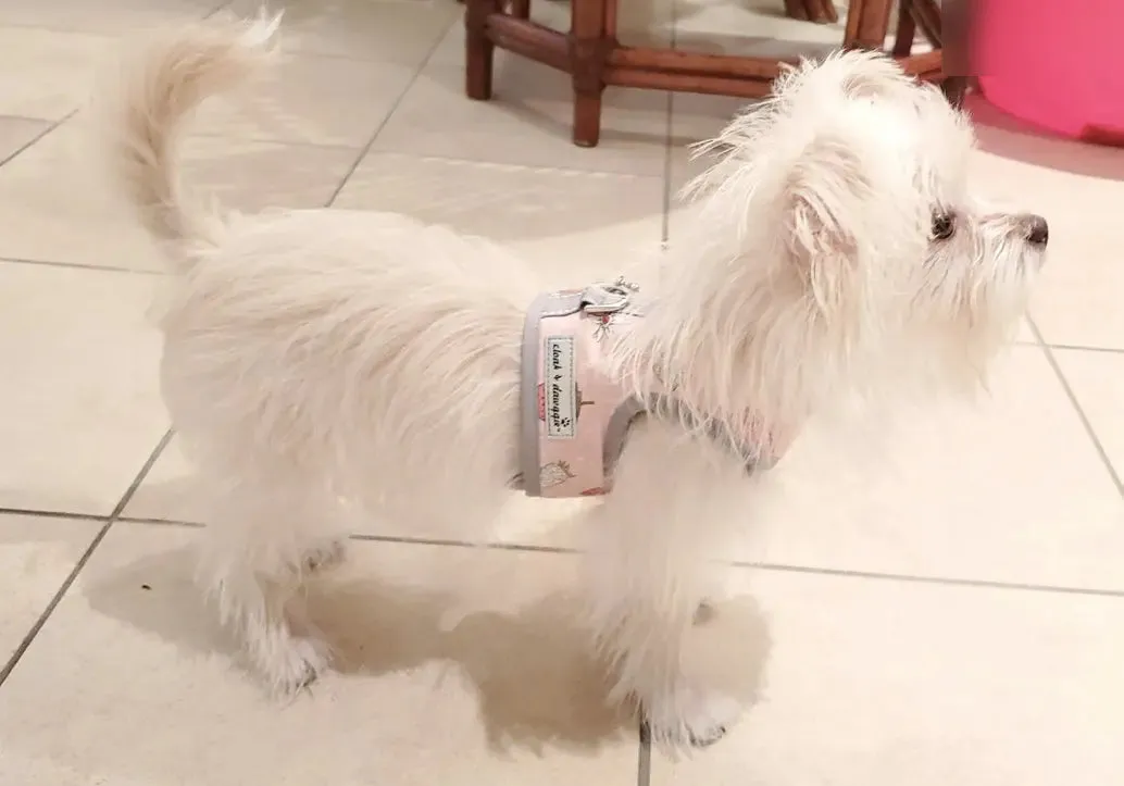 Strawberry Print Teacup Dog Harness Vest Up 2 LBS to 8 LBS