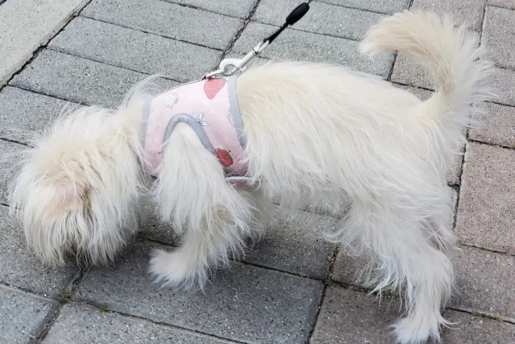Strawberry Print Teacup Dog Harness Vest Up 2 LBS to 8 LBS