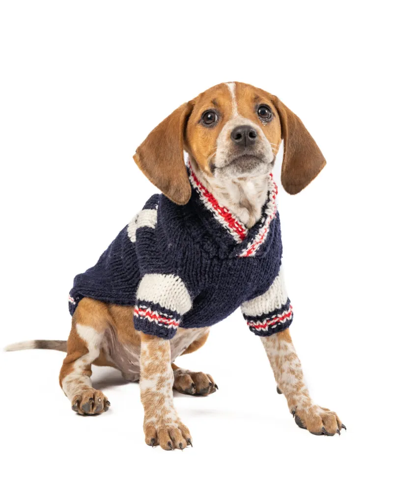 Varsity Wool Dog Sweater