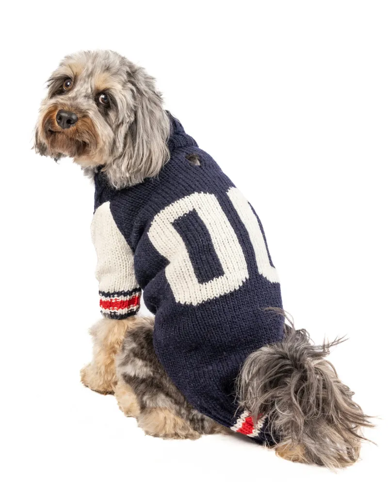 Varsity Wool Dog Sweater