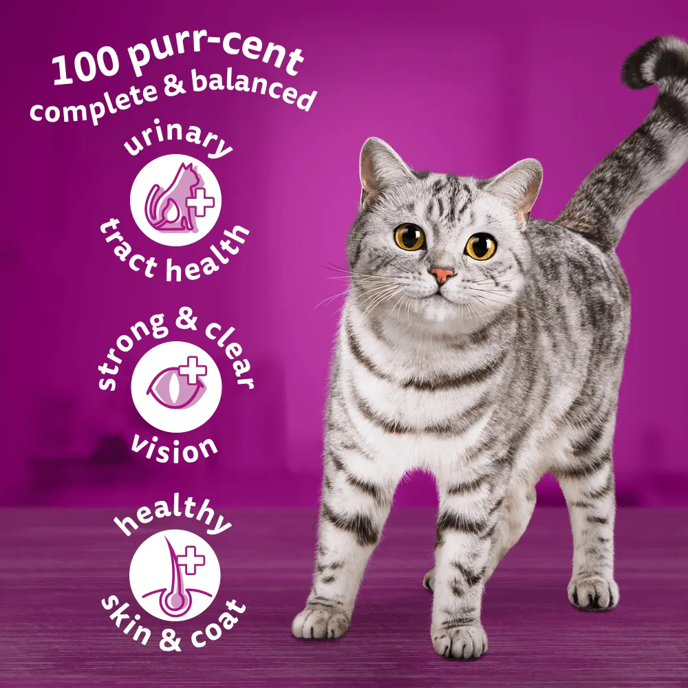 Whiskas Adult Cat 1  Complete Chicken Dry Cat Food
