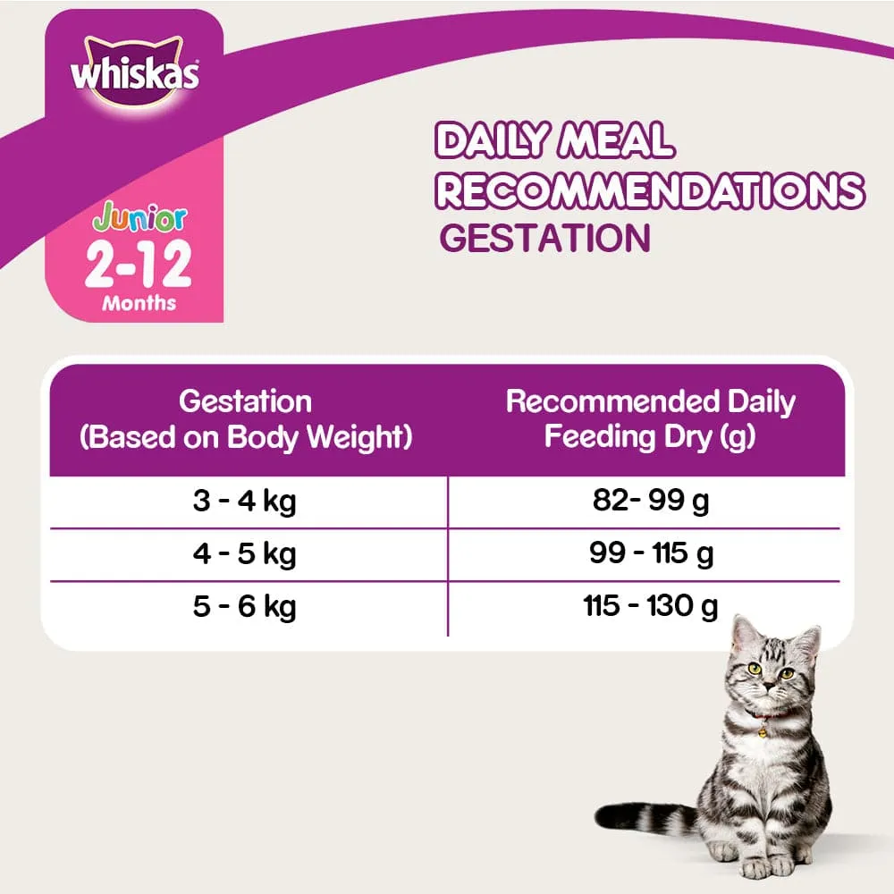 Whiskas Mackerel Flavour Dry Food for Mother and Baby Cat (Limited Shelf Life)