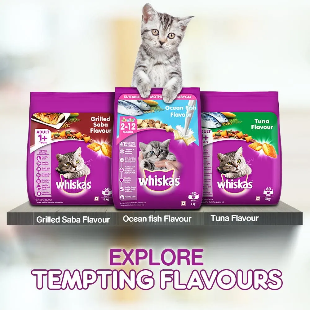 Whiskas Mackerel Flavour Dry Food for Mother and Baby Cat (Limited Shelf Life)