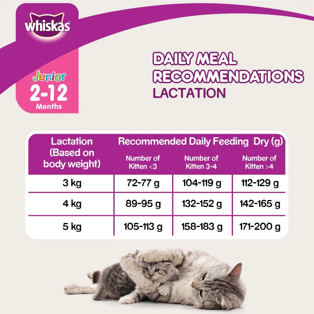 Whiskas Mackerel Flavour Dry Food for Mother and Baby Cat (Limited Shelf Life)
