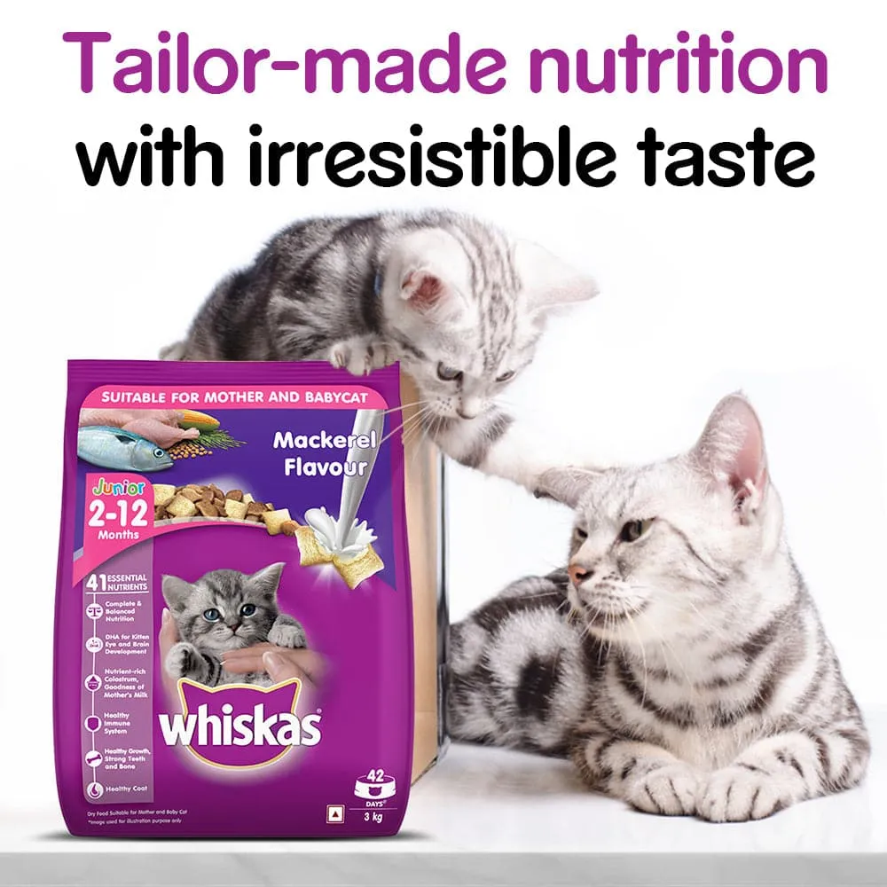 Whiskas Mackerel Flavour Dry Food for Mother and Baby Cat (Limited Shelf Life)