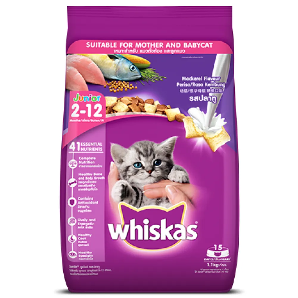 Whiskas Ocean Fish and  Mackerel Flavour Kitten Cat (2 to 12 months) Dry Food Combo
