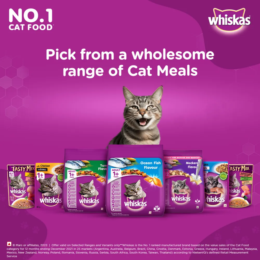 Whiskas Ocean Fish Flavour Adult Cat Dry and Wet Food Combo