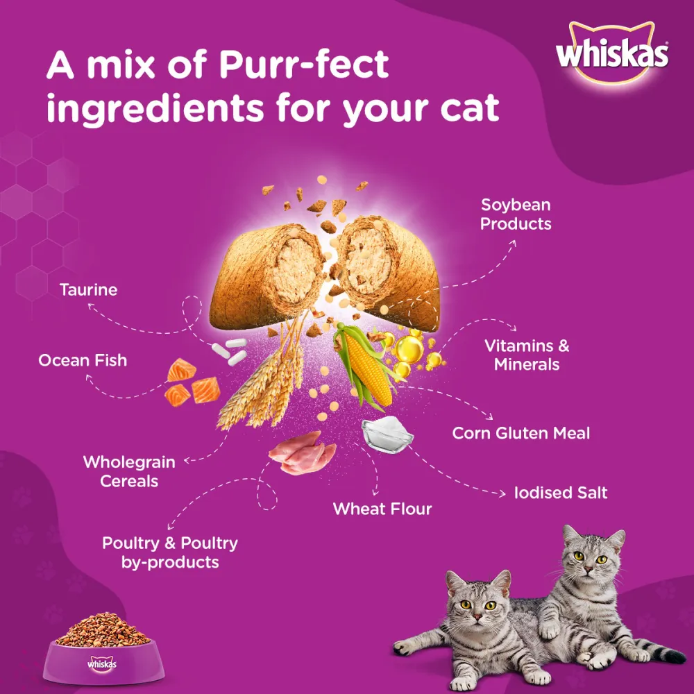 Whiskas Ocean Fish Flavour Adult Cat Dry and Wet Food Combo