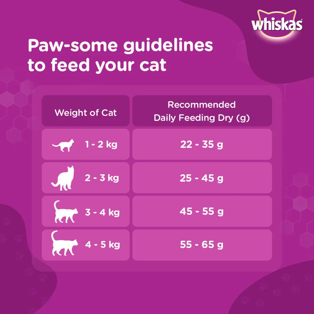 Whiskas Ocean Fish Flavour Adult Cat Dry and Wet Food Combo