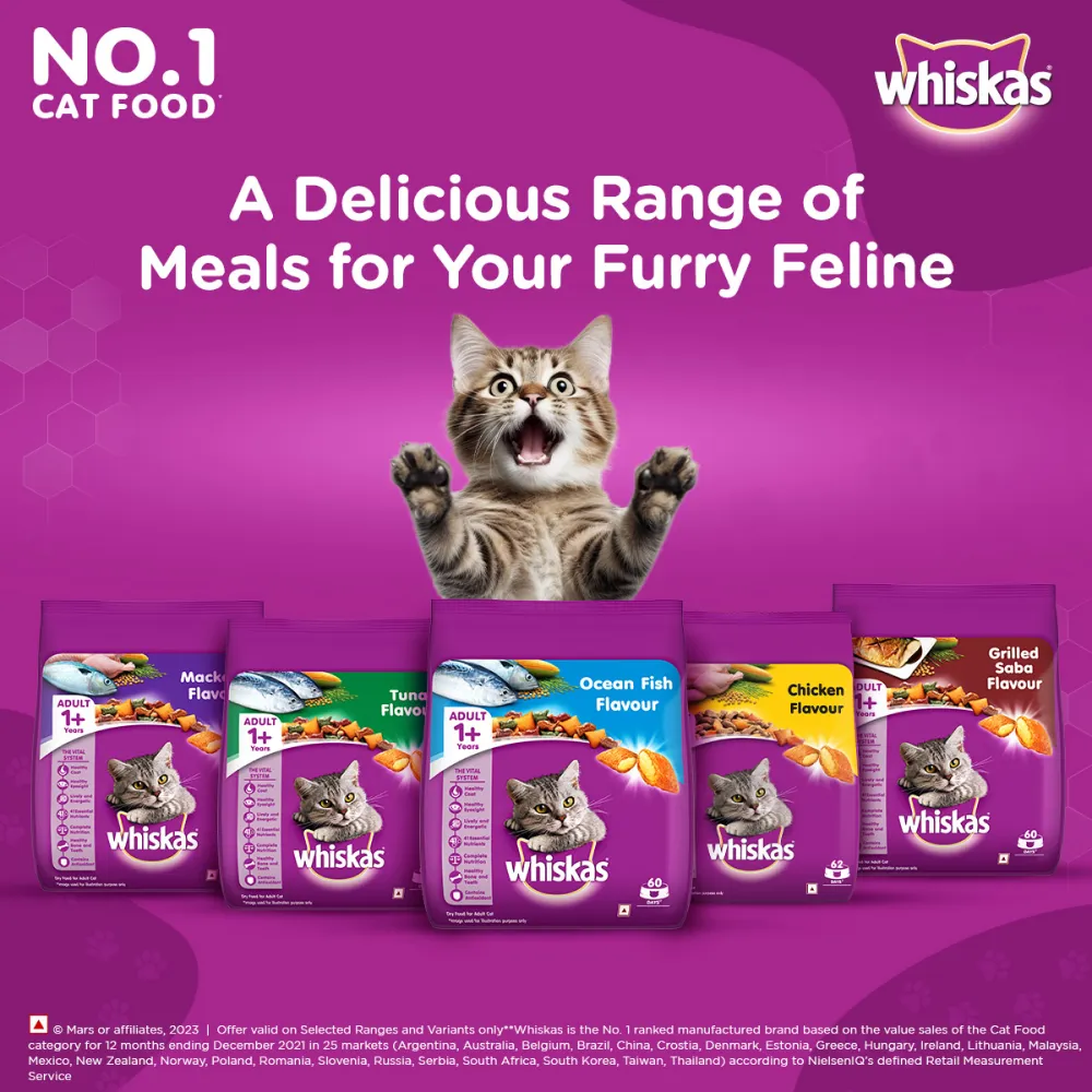 Whiskas Ocean Fish Flavour Adult Cat Dry and Wet Food Combo