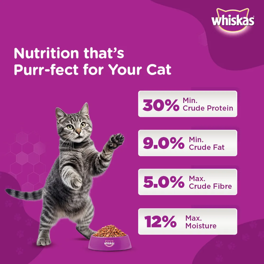 Whiskas Ocean Fish Flavour Adult Cat Dry and Wet Food Combo