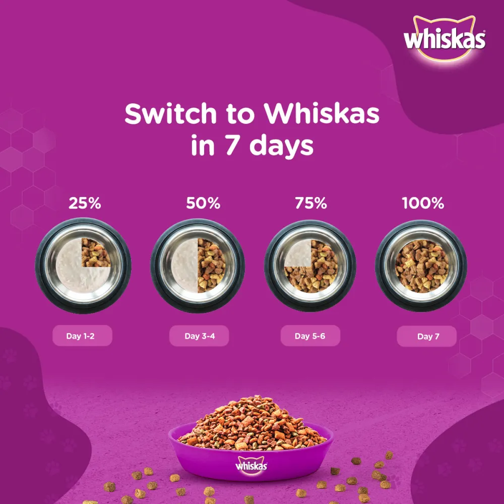 Whiskas Ocean Fish Flavour Adult Cat Dry and Wet Food Combo