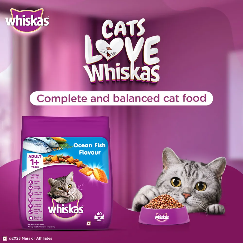 Whiskas Ocean Fish Flavour Adult Cat Dry and Wet Food Combo